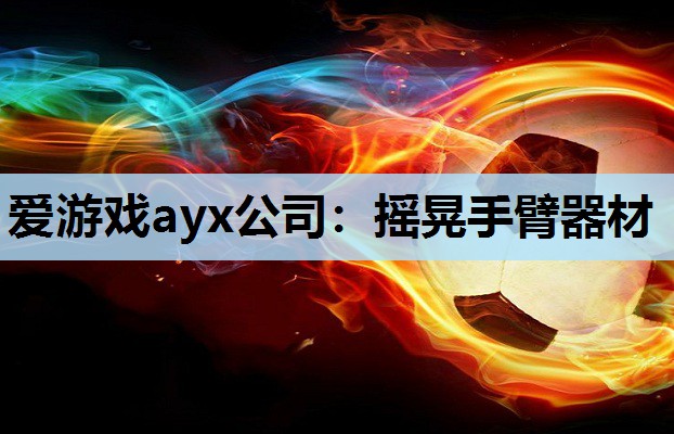 爱游戏ayx公司：摇晃手臂器材