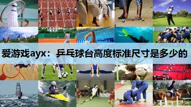 爱游戏ayx：乒乓球台高度标准尺寸是多少的