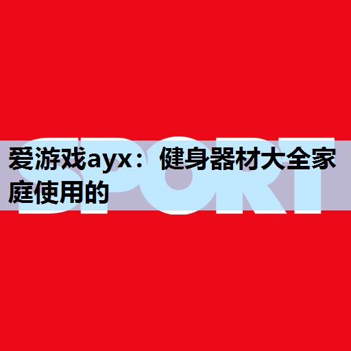 爱游戏ayx：健身器材大全家庭使用的