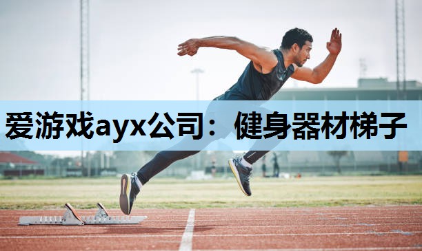 爱游戏ayx公司：健身器材梯子