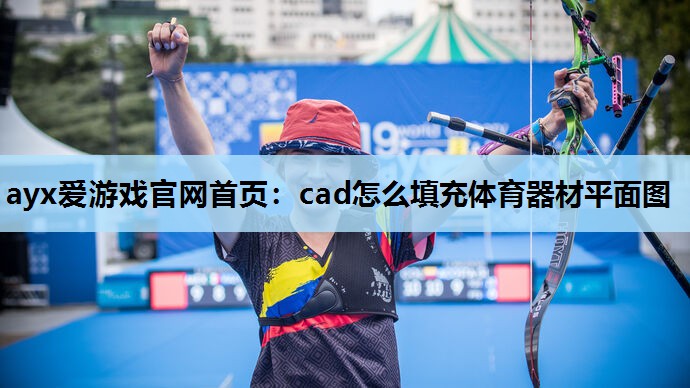 cad怎么填充体育器材平面图